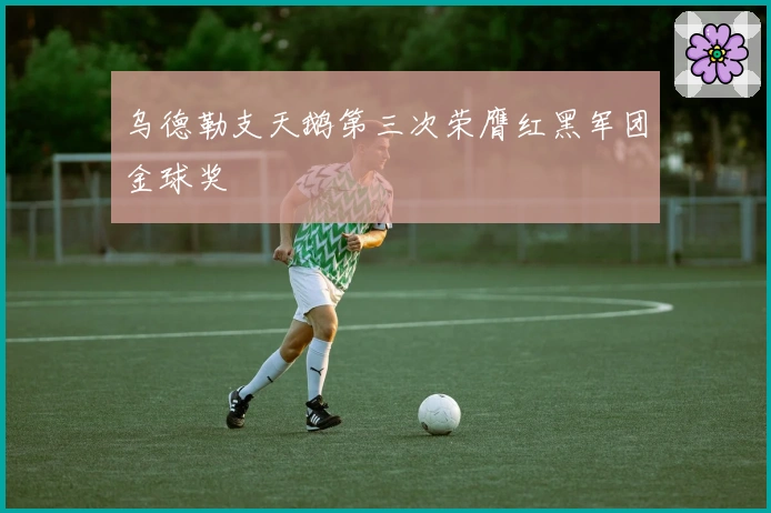 乌德勒支天鹅第三次荣膺红黑军团金球奖