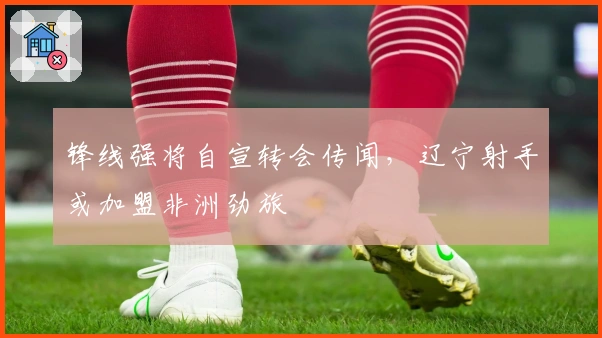 锋线强将自宣转会传闻，辽宁射手或加盟非洲劲旅